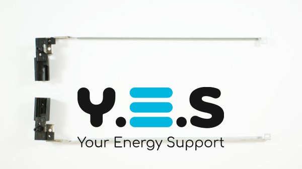 Петлі для ноутбука Lenovo ThinkPad SL500, SL500C (43Y9690) ліва+права