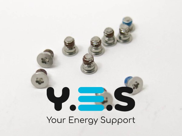 Набір гвинтів (10 шт) для нижньої кришки MacBook Pro Retina A1398, A1425, A1502