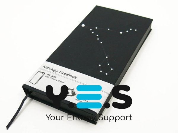 Подарунковий блокнот сузір’я зодіаку «Риби», 90×180×18 мм, 240 арк., чорний