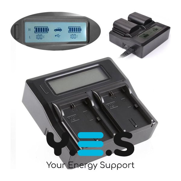 Двоканальний зарядний пристрій KingMa на 2 акумулятори для Canon NB-10L