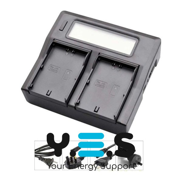 Двоканальний зарядний пристрій KingMa для акумуляторів JVC SSL-JVC50/SSL-JVC70