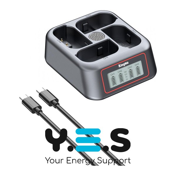 Зарядний пристрій KingMa швидкої зарядки на 4 акумулятори Panasonic DMW-BLK22 (BM069-BLK22)