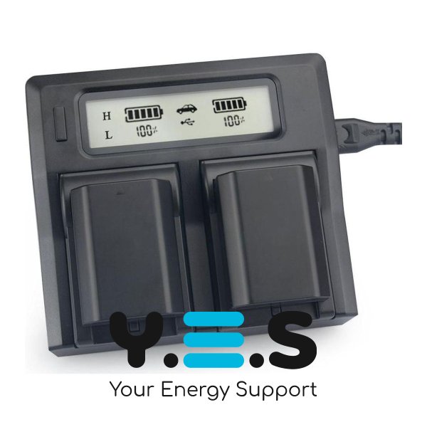 Зарядний пристрій BestBatt (KingMa) на 2 акумулятори для Sony NP-FZ100