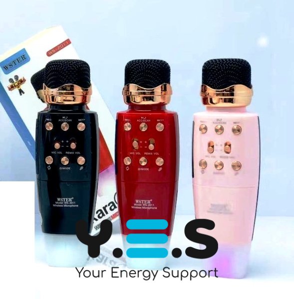 Бездротовий караоке-мікрофон WSTER WS-2011 4-в-1: колонка, Powerbank, запис, зміна голосу, FM, BT, USB, microSD