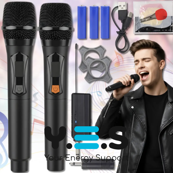 Бездротова UHF караоке-система TTD‑M12 з 2 мікрофонами (радіомікрофони)