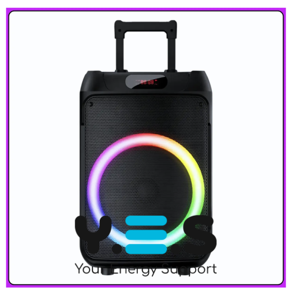 Портативна Bluetooth колонка TTD-1209 12″ з 2 мікрофонами та пультом ДК (Wireless Speaker)