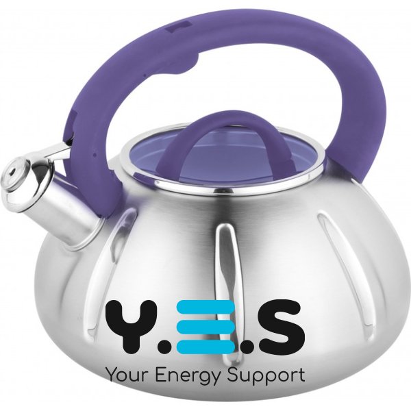 Чайник Unique UN-5303 3 л з нержавіючої сталі з нейлоновою ручкою та свистком