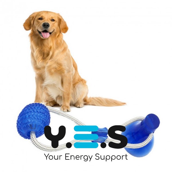 Гумова іграшка для собак на присосці: м’ячик із канатом, модель WM-60