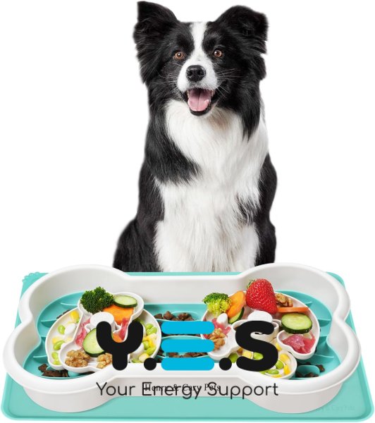 Миска-кiсточка Henry & Cary з дозатором і силіконовим килимком для повільного годування собак