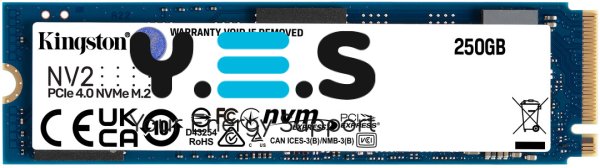 Kingston NV2 250 ГБ M.2 2280 NVMe PCIe 4.0 x4 (SNV2S/250G)