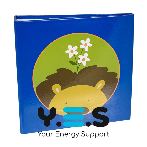 Альбом HENZO 10*15/200 JUNGLE 19.626.07 (лев)