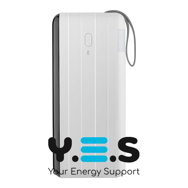 Универсальная мобильная батарея REMAX RPP-291 Chinen Series 22.5W PD+QC, LED Light, 80000mAh, White