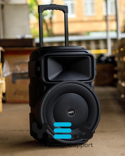 Колонка Bluetooth RX-1229 with FM чорний