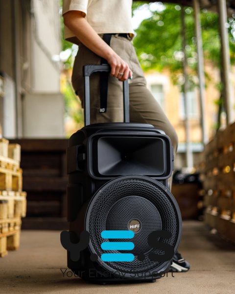 Колонка Bluetooth RX-1229 with FM чорний