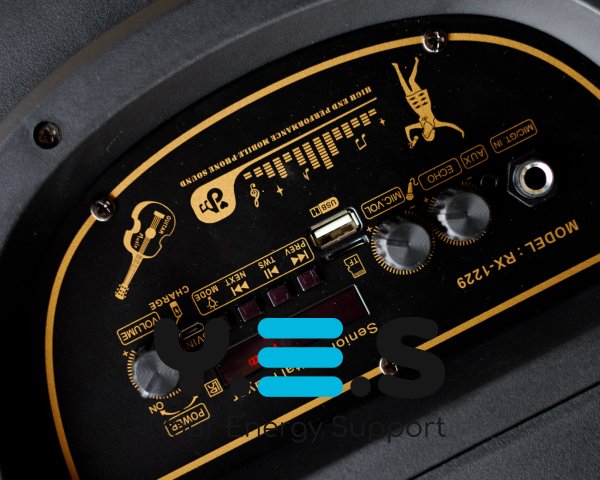 Колонка Bluetooth RX-1229 with FM чорний