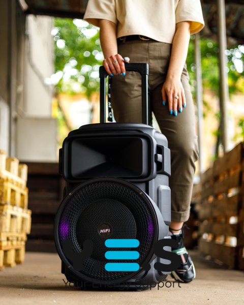 Колонка Bluetooth RX-1229 with FM чорний