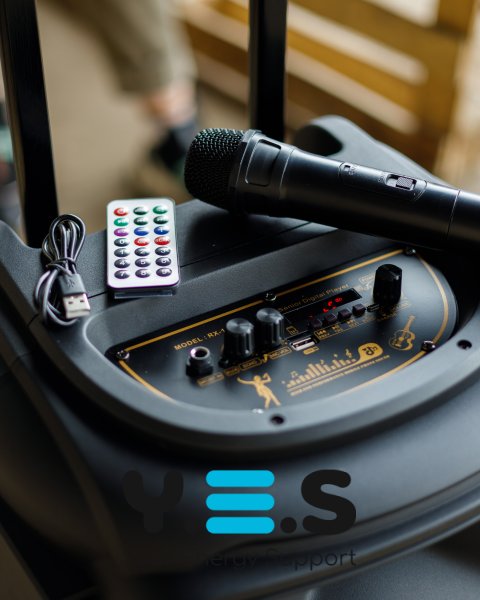 Колонка Bluetooth RX-1229 with FM чорний