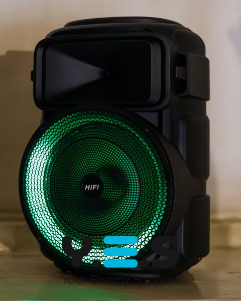 Колонка Bluetooth RX-1229 with FM чорний