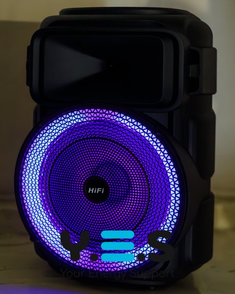Колонка Bluetooth RX-1229 with FM чорний