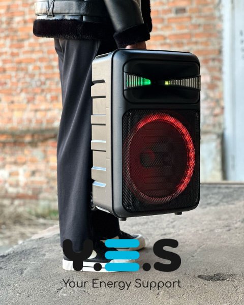 Колонка Bluetooth RX-1225D with FM чорний