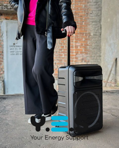 Колонка Bluetooth RX-1225D with FM чорний