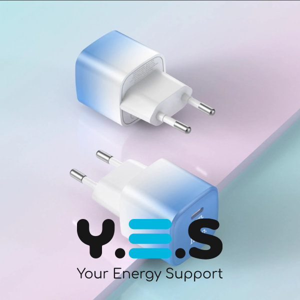 Мережевий Зарядний Пристрій Hoco C101A PD20W Type-C / Білий - Синій