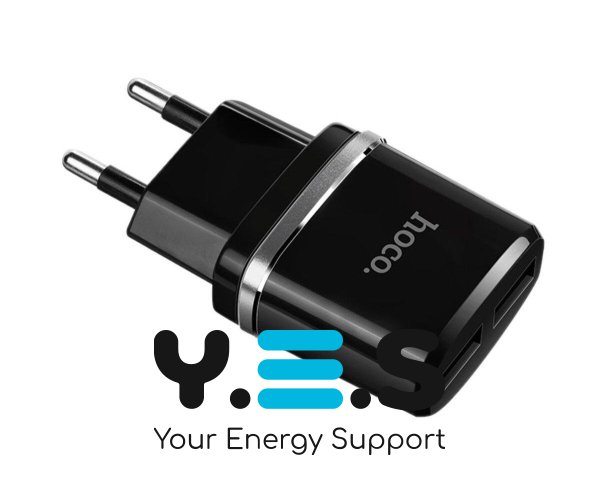 Мережевий зарядний пристрій HOCO C12 Smart dual USB (Micro cable)charger set Black