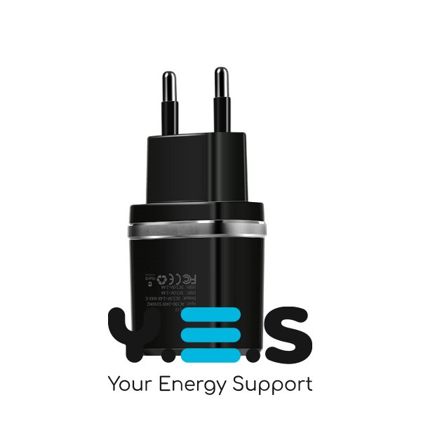 Мережевий зарядний пристрій Hoco C12 Smart dual USB charger Black
