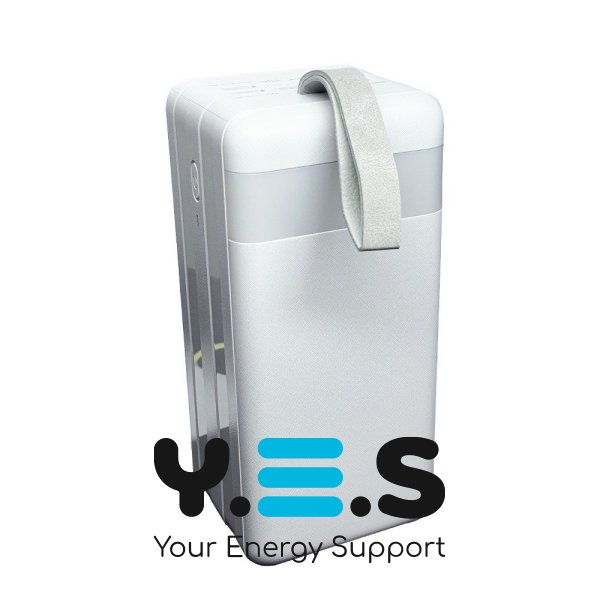 Зовнішній акумулятор Power Bank REMAX RPP-291 Chinen Series 22.5W PD+QC Multi-compatible Fast Charging with LED