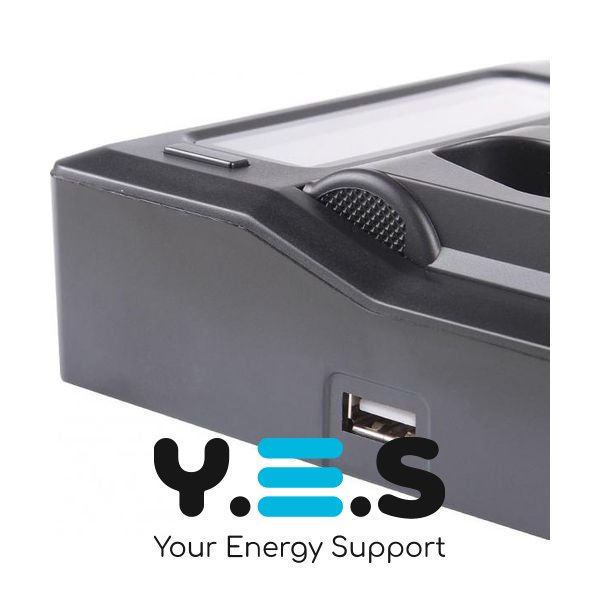 Зарядний на 2 батареї для Sony NP-FV30 NP-FV50 NP-FV70 NP-FV100 HPW-13363