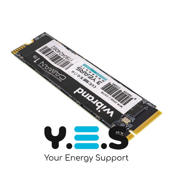 Жорсткий диск M.2 2280 SSD 1Tb Wibrand Caiman, NVMe, PCI Express 3.0 x4, 3D NAND TLC, зап/чт. 1600/2000Мб/с (WIM.2SSD/CA1TB)
