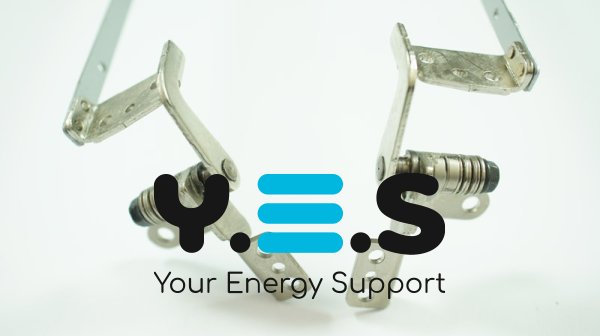 Петлі для ноутбука Toshiba Satellite C650, C655 (ліва+права)