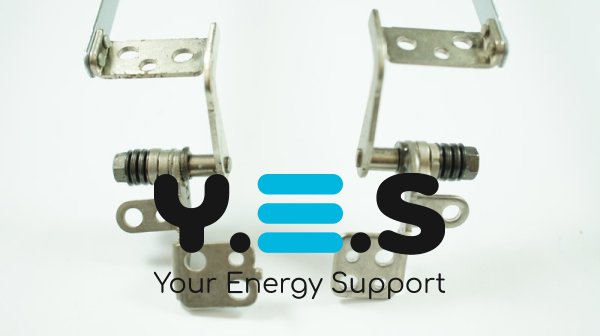 Петлі для ноутбука Toshiba Satellite C600, C606 (ліва+права)