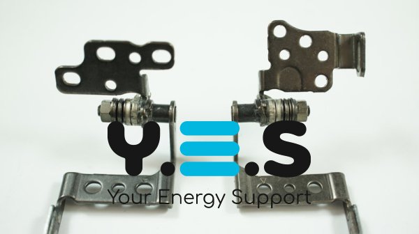 Петлі для ноутбука Toshiba Satellite C800, C805 (ліва+права)