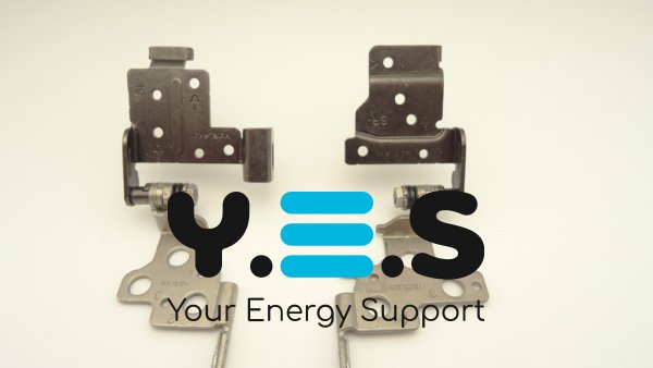 Петлі для ноутбука Dell Inspiron 3541/3542/3543 (набір)