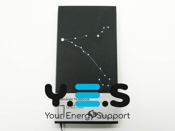 Подарунковий блокнот сузір’я зодіаку «Риби», 90×180×18 мм, 240 арк., чорний