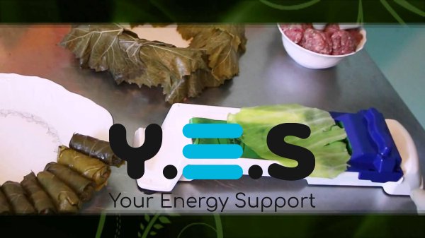 Машинка Dolmer для загортання долми та голубців (пристрій для приготування)