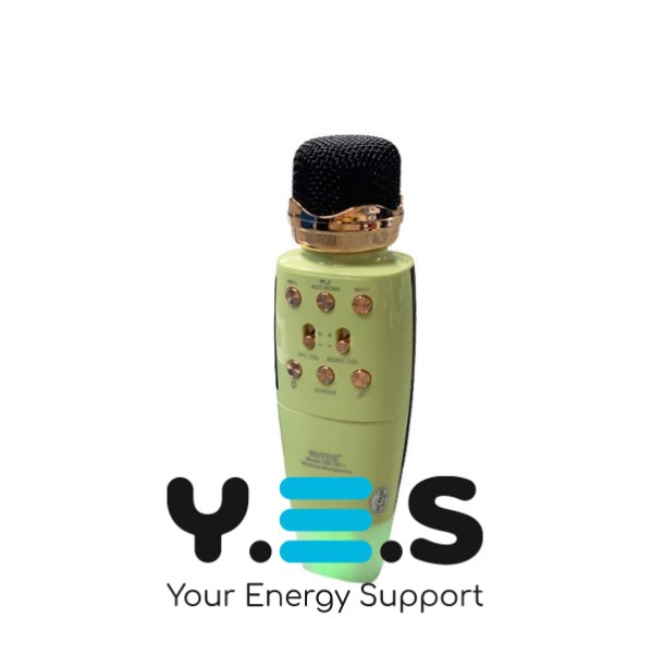 Бездротовий караоке-мікрофон WSTER WS-2011 4-в-1: колонка, Powerbank, запис, зміна голосу, FM, BT, USB, microSD