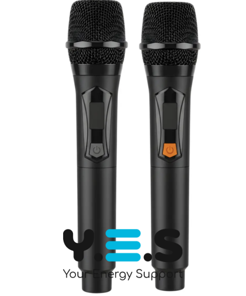 Бездротова UHF караоке-система TTD‑M12 з 2 мікрофонами (радіомікрофони)