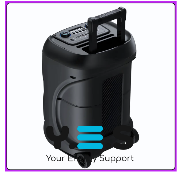 Портативна Bluetooth колонка TTD-1209 12″ з 2 мікрофонами та пультом ДК (Wireless Speaker)