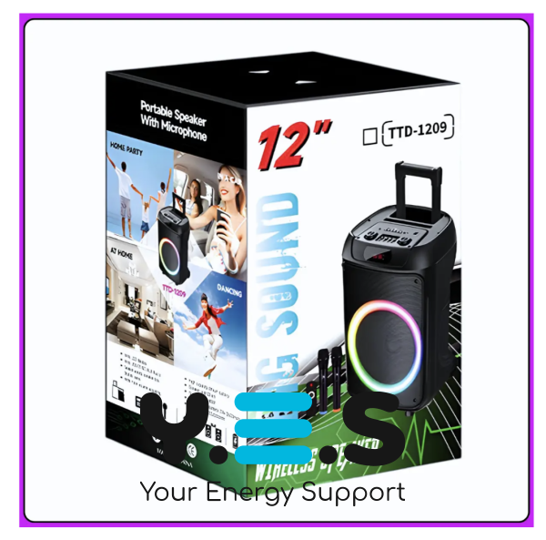 Портативна Bluetooth колонка TTD-1209 12″ з 2 мікрофонами та пультом ДК (Wireless Speaker)