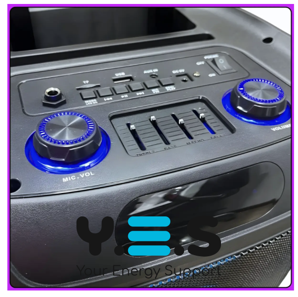 Портативна Bluetooth колонка TTD-1209 12″ з 2 мікрофонами та пультом ДК (Wireless Speaker)