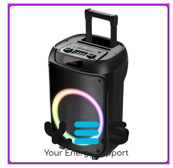 Портативна Bluetooth колонка TTD-1209 12″ з 2 мікрофонами та пультом ДК (Wireless Speaker)