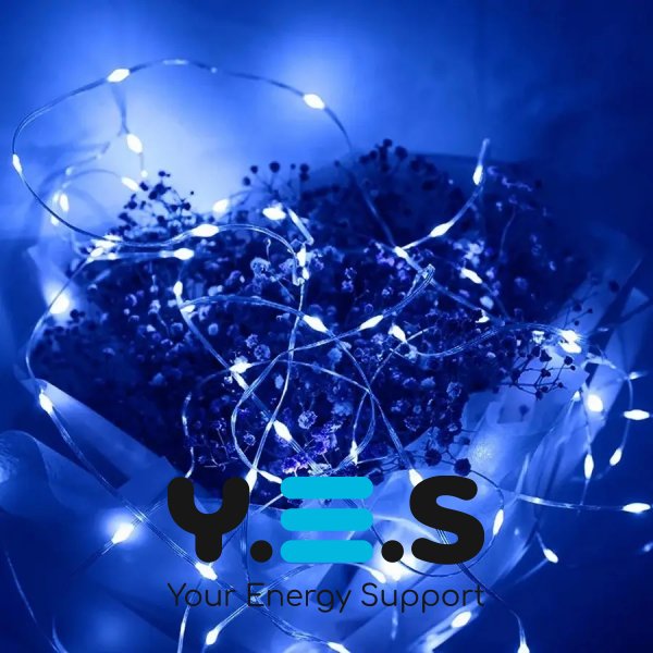 Гірлянда LED 500, прозорий провід, синє світло, 450+25+4501+25 м, XL-53-5