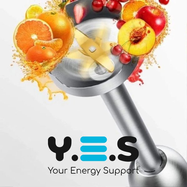 Погружний блендер Hoffmans HM-8046 1000W для дому — потужний побутовий