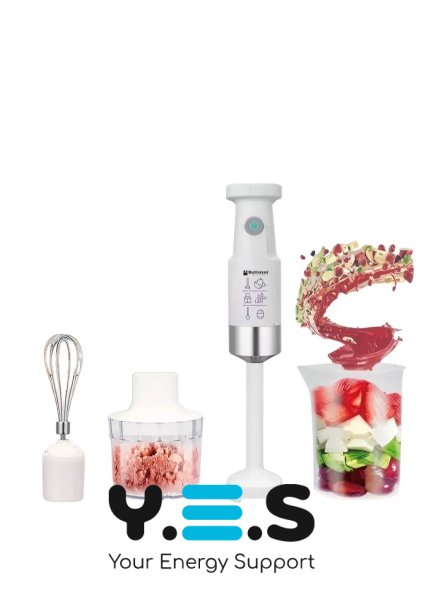 Занурювальний блендер Hoffmans HM-8042 4-в-1 600W з вінчиком і подрібнювачем