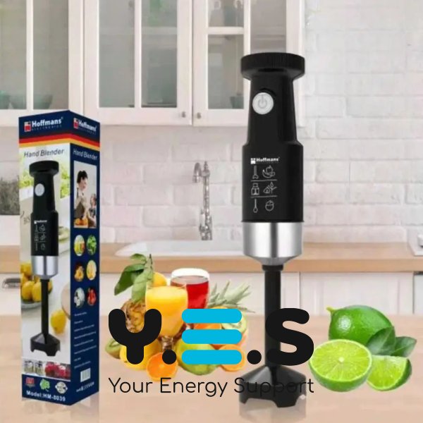 Занурювальний блендер Hoffmans HM-8042 4-в-1 600W з вінчиком і подрібнювачем
