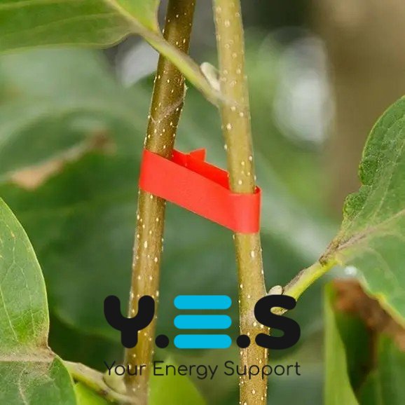 Стрічка для підв’язування рослин Graft strap 20×25 м — набір стрічок для садового степлера