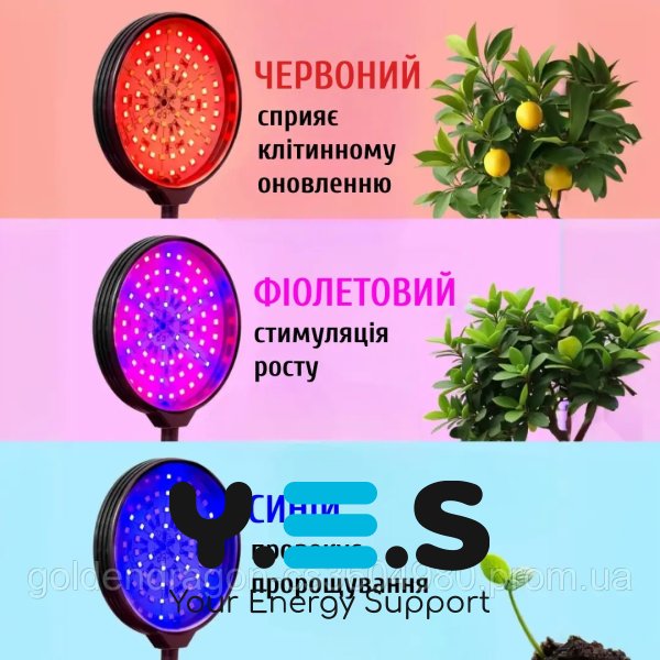 Фітолампа LED для рослин: кругла, 4 головки, таймер і регулювання яскравості