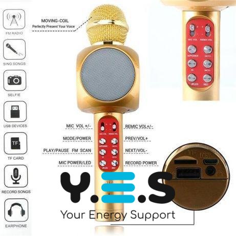 Бездротовий караоке-мікрофон Wster WS-1816 з колонкою та Bluetooth для співу вдома